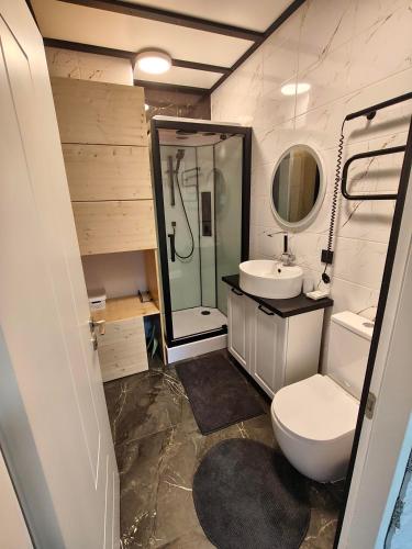 a bathroom with a toilet and a sink and a shower at Zeigių apartamentai in Normantai