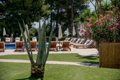 a pineapple plant in the grass next to chairs and a pool at Noma Vasilikos in Vasilikos