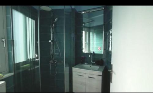 ein Badezimmer mit Dusche, Waschbecken und Spiegel in der Unterkunft Gefen vila in Skroponeria