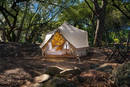 a tent sitting in the middle of a forest at Kampaoh Lisboa in Lisbon