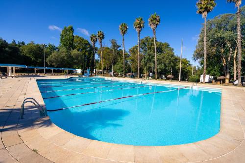 a large swimming pool with blue water and palm trees at Kampaoh Lisboa in Lisbon