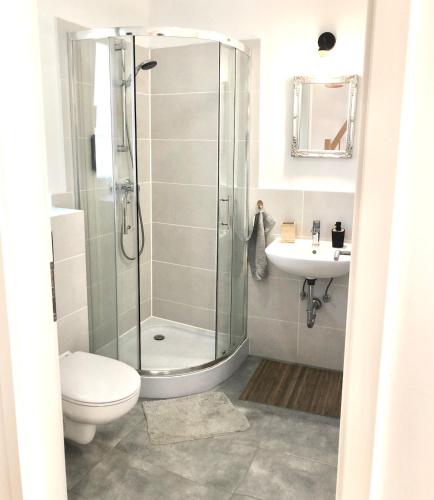 a bathroom with a shower and a toilet and a sink at Lake House Moryn in Przyjezierze