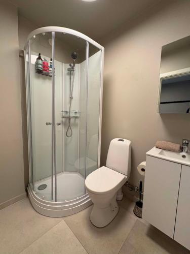 a bathroom with a shower and a toilet at Notodden Sentrum Apartment NO 14 in Notodden