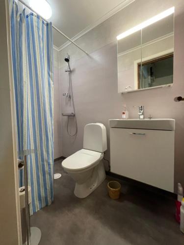 a bathroom with a toilet and a sink at 5ans rum in Skellefteå