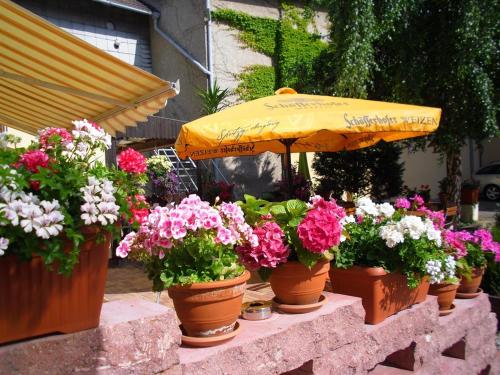 a group of flowers in pots under an umbrella at Hotel & Gasthaus Forelle in Thale