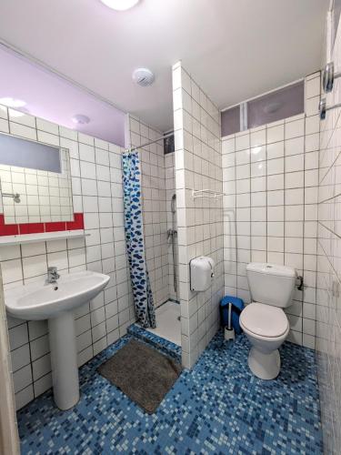 a bathroom with a toilet and a sink at maison des chanoines in Toul