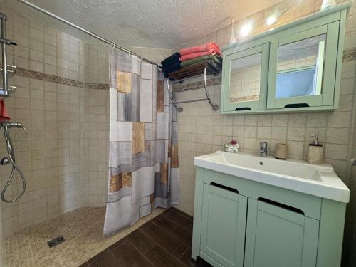 a bathroom with a white sink and a shower at Chez Antoinette et Jo in Drap