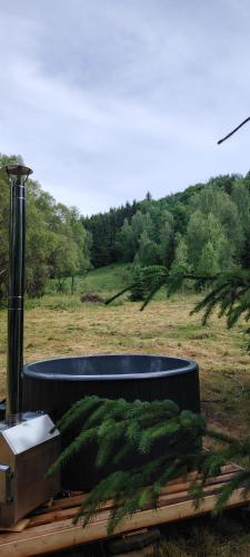 a tree sitting on a table in a field at Casuta dintre brazi in Râșca