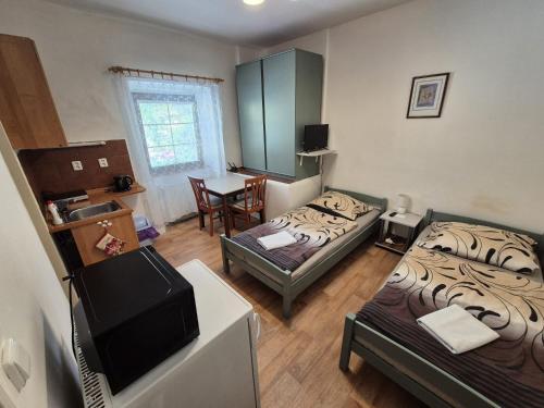a living room with two beds and a television at Penzion Many Peny in Jindřichŭv Hradec