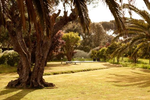 a park with a bench under a palm tree at Quinta Do Miguel in Aldeia do Meco