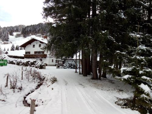a snow covered yard with a house and trees at Tiroler Hasenhöhle in Wenns