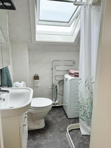 a bathroom with a toilet and a sink and a skylight at Centralt och havsnära på Stensö in Kalmar