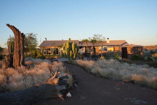 a house in a desert with a tree and a cactus at Boscia African Farm in Omomas