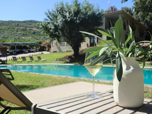 a glass of wine sitting on a table with a plant at Hotel Rural Xerete in Navaconcejo