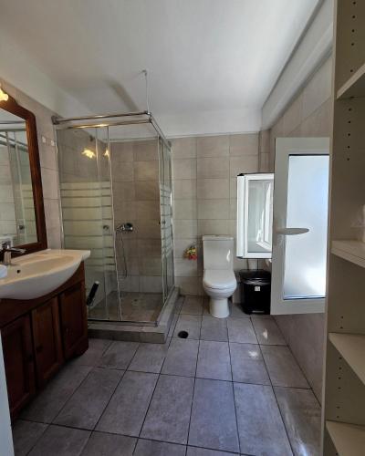 a bathroom with a shower and a toilet and a sink at Authentic Village House in Tourkolékas
