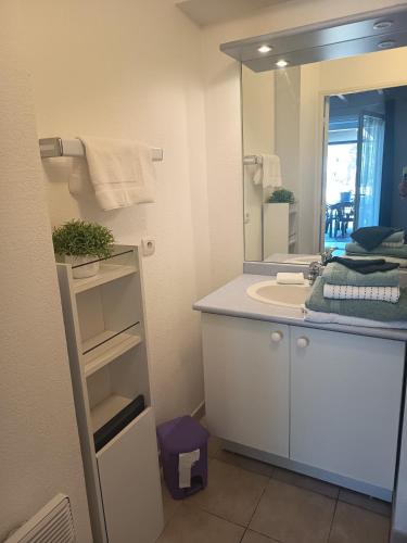 a bathroom with a sink and a large mirror at La Garrigue in Calvisson
