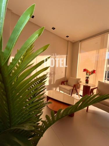 a living room with a couch and a chair and a plant at The Hotel in Teresina
