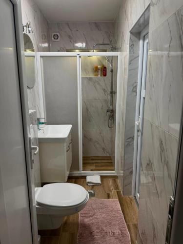 a bathroom with a shower and a toilet and a sink at Apartman Ena in Nova Varoš