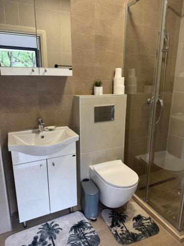 a bathroom with a toilet and a sink and a shower at Stanisicguesthouse in Stanišiči
