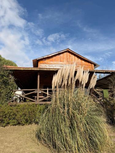 a wooden house with a large bush in front of it at Cabaña de campo in Tanti