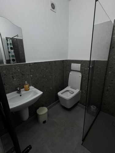 a bathroom with a toilet and a sink at Vila Adelin in Tăşnad