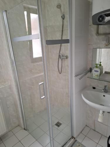a bathroom with a shower and a sink at Penzion Many Peny in Jindřichŭv Hradec