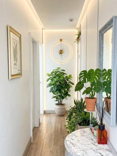 a hallway with potted plants and a clock on the wall at CROKE PARK STUDIO in Dublin