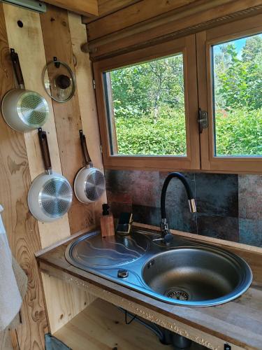 a kitchen with a sink and two windows at Tiny house a la ferme in Huelgoat