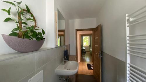 a bathroom with a sink and a potted plant on the wall at Wunderhaus am Goitzschesee in Bitterfeld