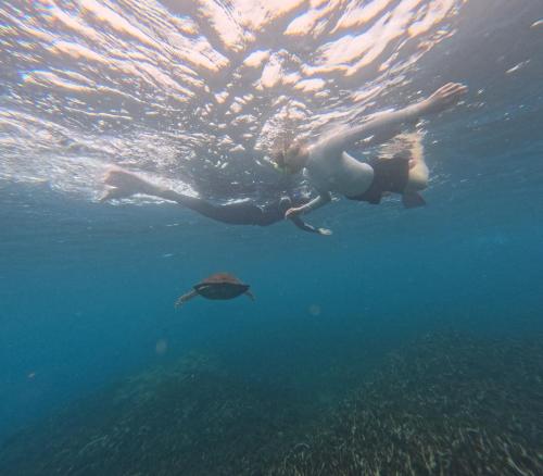a person swimming in the water with a turtle at Coral Moon in Trincomalee