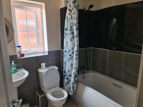 a bathroom with a toilet and a tub and a sink at FV Dwelling in Hucknall
