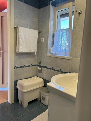 a bathroom with a toilet and a sink and a mirror at Apartman Jasmine in Csopak