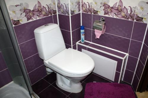 a bathroom with a toilet in a purple tiled bathroom at Квартира в Бендерах на Солнечном in Bender