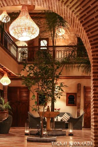 a living room with a potted tree in a building at Tigmi Nomade in Tahannout