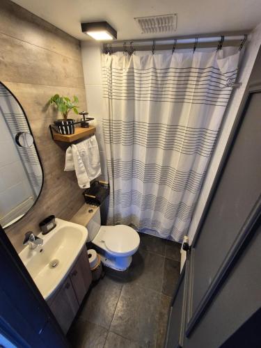 a bathroom with a toilet and a sink and a shower at Depto Premium Ski-in Ski-out Edificio Alerces-Nevados de Chillán in Nevados de Chillan