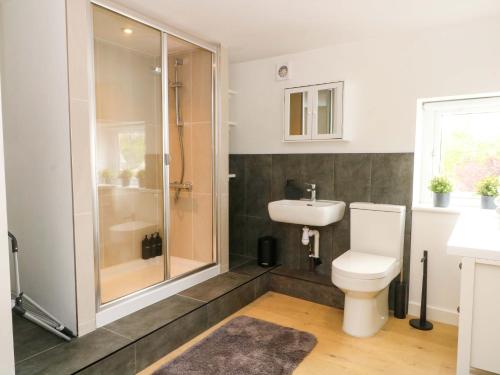 a bathroom with a shower and a toilet and a sink at Broad Beams in Neston