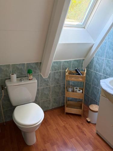 a bathroom with a white toilet and a window at Chalet 6 à 8 personnes in Drulhe
