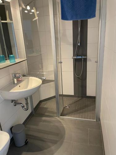 a bathroom with a shower and a sink at Ferienhaus Wind & Welle in Norddeich