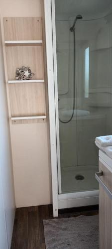 a bathroom with a shower with a glass door at Mobilhome 217 in Torreilles