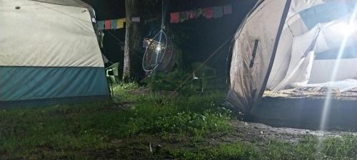 a room with a tent in the grass at eco friendly camping site pahalgam in Pahalgām