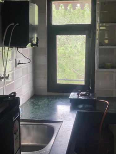 a kitchen with a sink and a window at Pahari Trekkers in Nainital