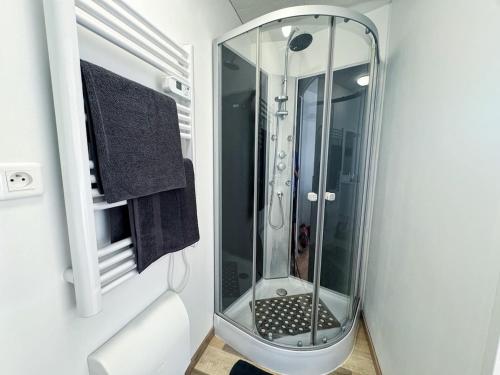 a glass shower in a bathroom with a mirror at La Palmeraie, Duplex in Bar-le-Duc