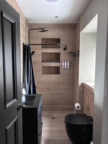 a bathroom with a black toilet and a sink at Creagh Road House in Ballinrobe