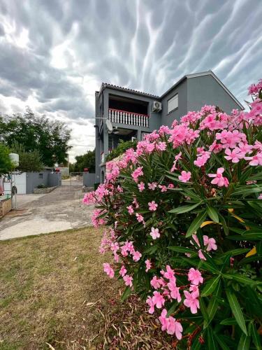 a bush of pink flowers in front of a building at Lydia in Vrsi