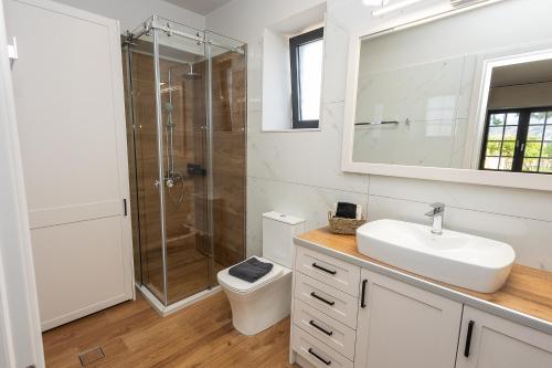 a bathroom with a shower and a sink and a toilet at Argolis Rodies Homes in Kilada
