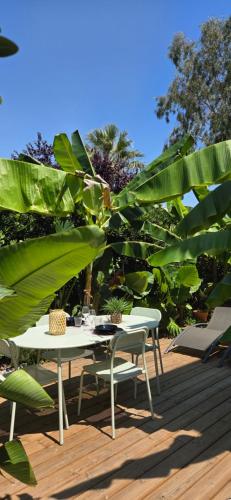 Studio avec terrasse tropicale à 3 min de la plage photo 9