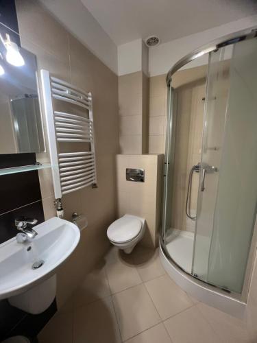 a bathroom with a toilet and a sink and a shower at Baracuda in Dębki
