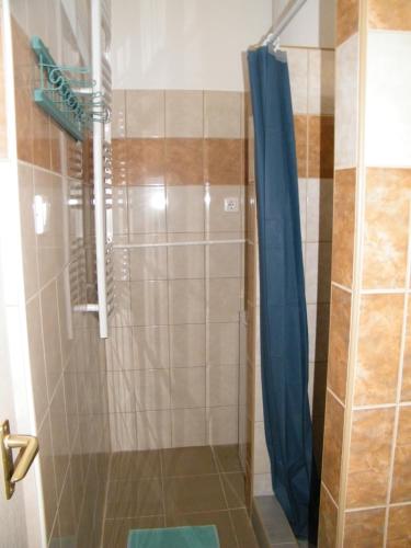 a shower with a blue shower curtain in a bathroom at Sártekerő Vendégház in Alsópáhok