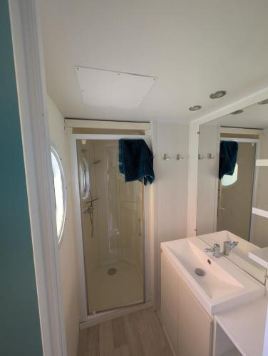 a bathroom with a shower and a white sink at Camping de Graçay in Graçay