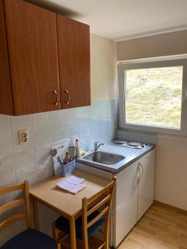 a small kitchen with a sink and a table at Vila Ruška in Prčanj